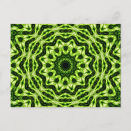 Cartão Postal Kiwi Kaleidoscope