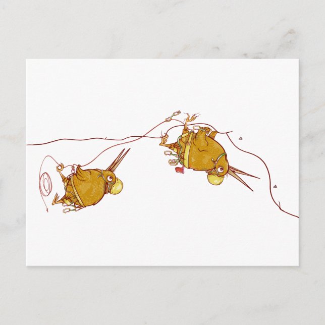 Cartão Postal Kiwi NZ BIRDS ROCK CLIMBING (Frente)