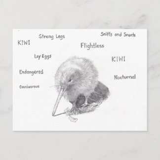 Cartão Postal Kiwi para caminhar