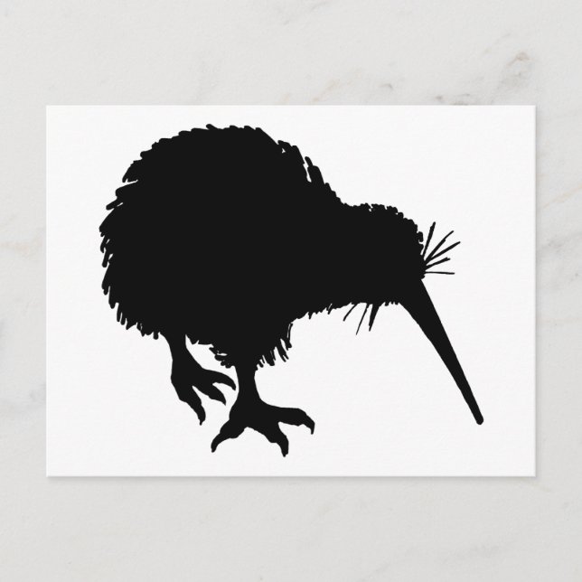 Cartão Postal Kiwi Silhouette (Frente)