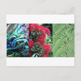 Cartão Postal Kiwiana fern paua pohutukawa