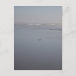 Cartão Postal Klalaoch & Birds