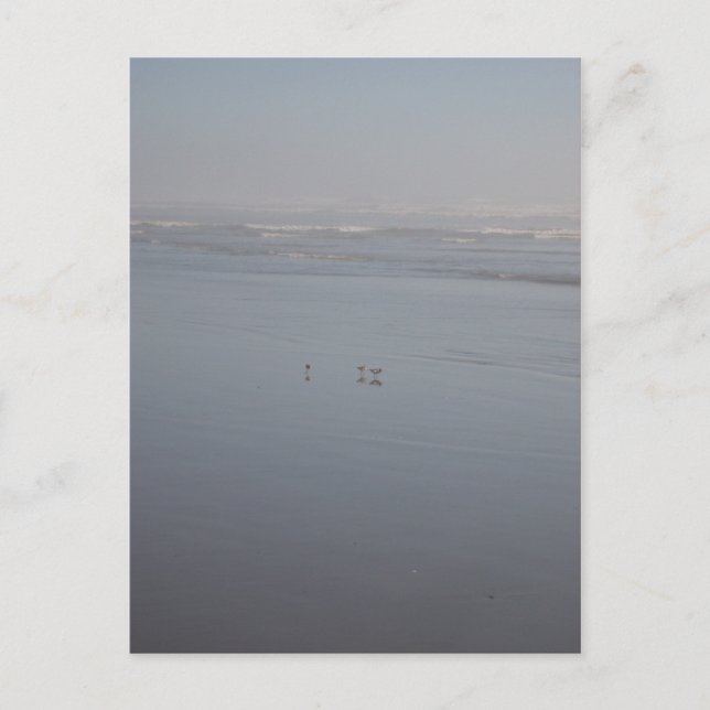 Cartão Postal Klalaoch & Birds (Frente)