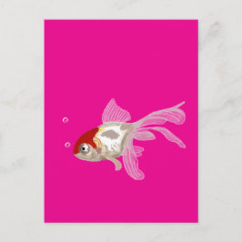 Cartão Postal Kleiner Goldfisch - 