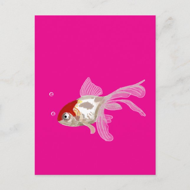 Cartão Postal Kleiner Goldfisch -  (Frente)