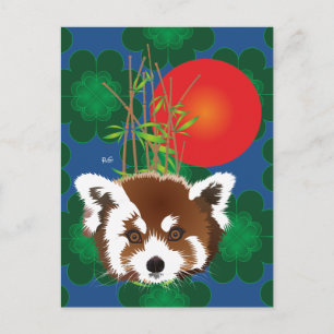 Cartão Postal Kleiner Panda (Ailurus fulgens) Postkarte