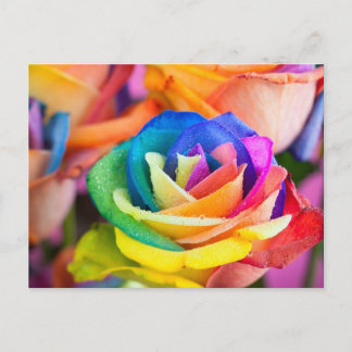 Cartão Postal kleuren bloem