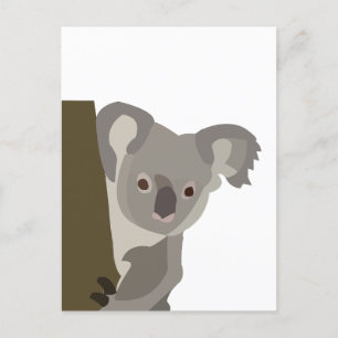 Cartão Postal Koala Bear Cute Australian Animal
