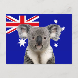 Cartão Postal Koala com fundo de bandeira australiana