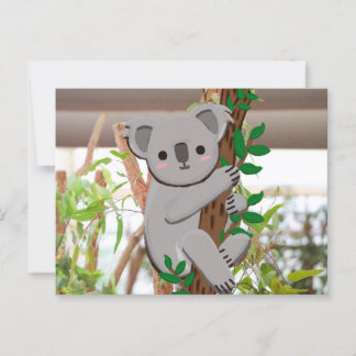 Cartão postal Koala | C's Dream Design