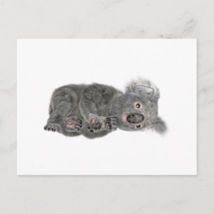Cartão Postal Koala Deitado