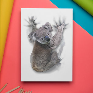 Cartão Postal Koala Hang No Urso Cóctil Traseiro Da Austrália