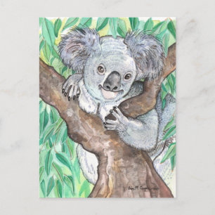 Cartão Postal Koala na pintura em árvore de Eucalyptus