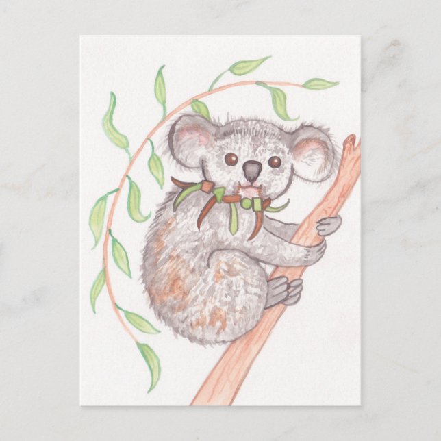 Cartão Postal Koala no Ramificação da Árvore (Frente)