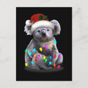 Cartão Postal Koala Sentada Com Luzes De Natal
