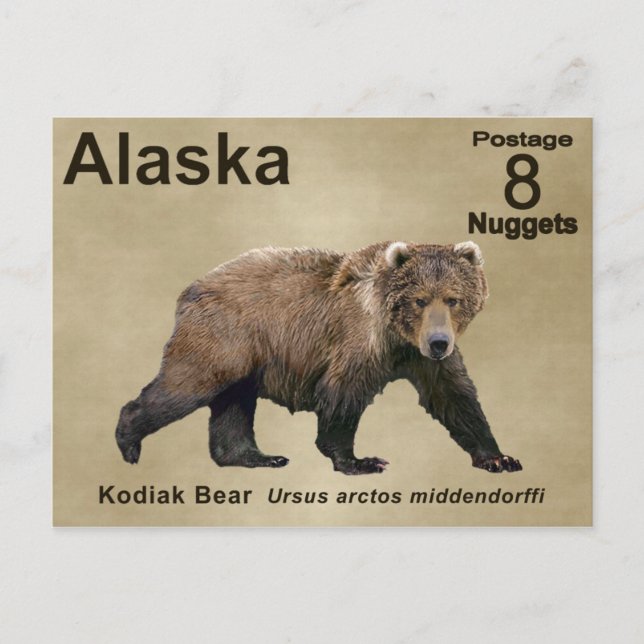 Cartão Postal Kodiak Bear (Frente)