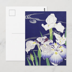 Cartão Postal Kogyo Tsukioka Irises,Arte Flor Japonesa