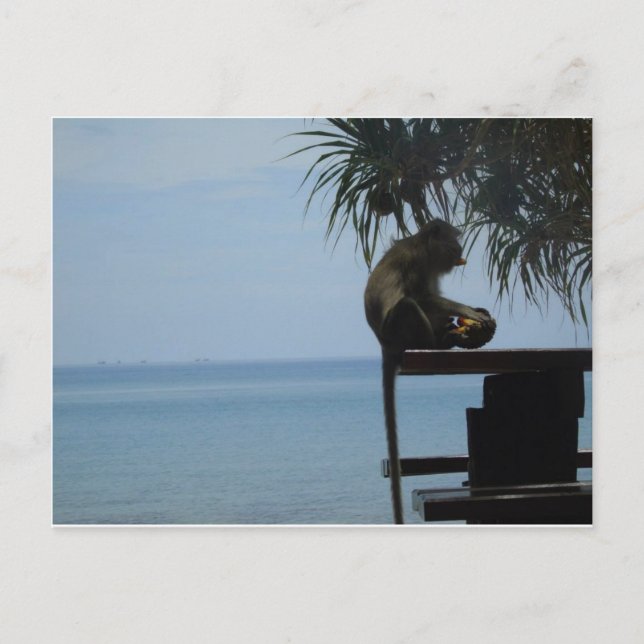 Cartão Postal Koh Lanta (Frente)