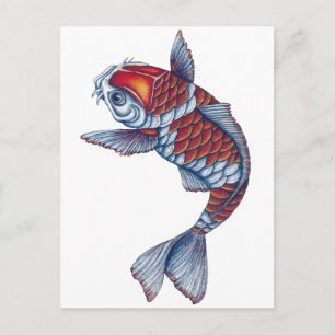 Cartão Postal Kohaku Koi Fish