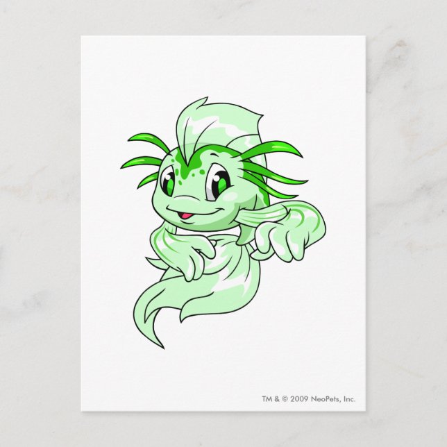 Cartão Postal Koi Green (Frente)