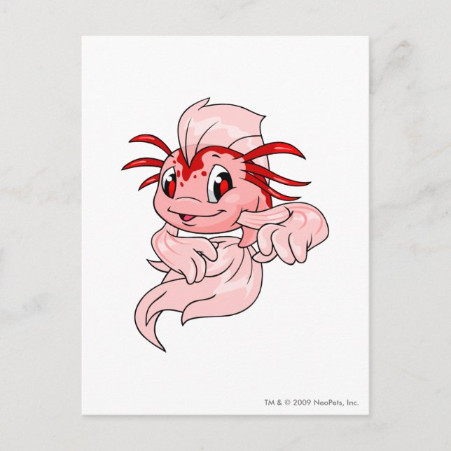 Cartão Postal Koi Red (Frente)