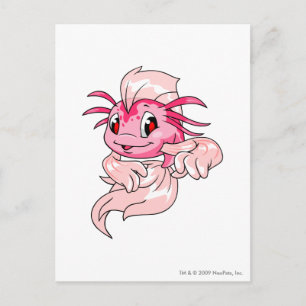 Cartão Postal Koi Rosa