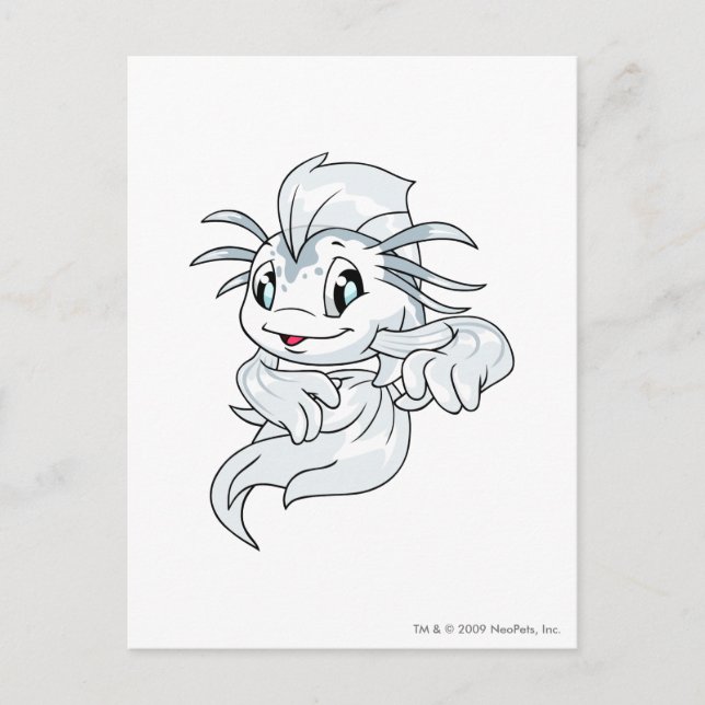 Cartão Postal Koi White (Frente)