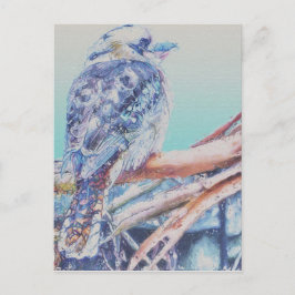 Cartão Postal Kookaburra australiano