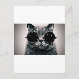 Cartão Postal Kool legal de gato com sombras