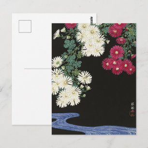 Cartão Postal Koson Chrysanthemum Garden Japonês Flor Art