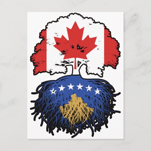 Cartão Postal Kosovo Kosovar Canada Tree Roots Flag (Frente)