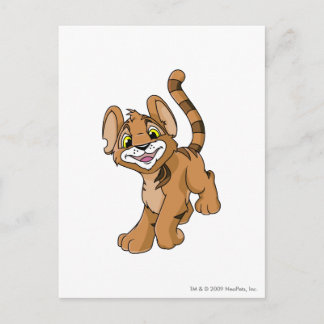 Cartão Postal Kougra Brown