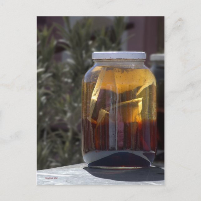 Cartão Postal Kowgirl Tea Kosmic da Kathy (Frente)