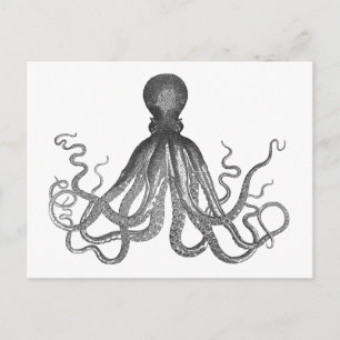 Cartão Postal Kraken - Octopus Gigante Negro / Cthulu