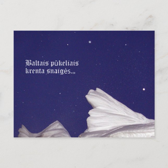Cartão postal Krenta Sniegas (Frente)