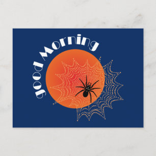 Cartão Postal Kreuzspinne im Netz bei Sonnenaufgang