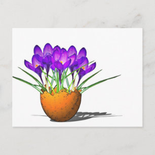 Cartão Postal Krokusse