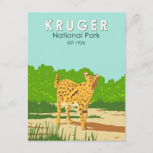 Cartão Postal Kruger National Park Serval Viagem Art Vintage