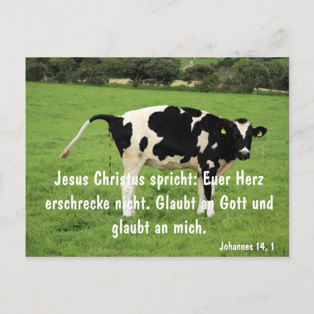 Cartão Postal Kuh (Frente)