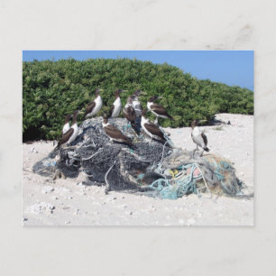 Cartão Postal Kure Atoll Beach Debris