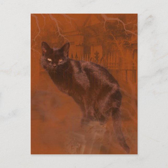 Cartão Postal Kuroneko Kami (Frente)