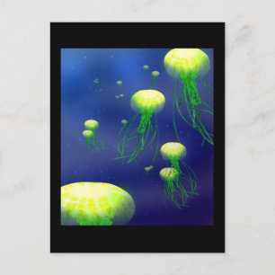 Cartão Postal KY Jellies Post Card