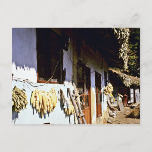Cartão Postal Kyongsangnam-Do - Chonghak-dong Tradicional Villag