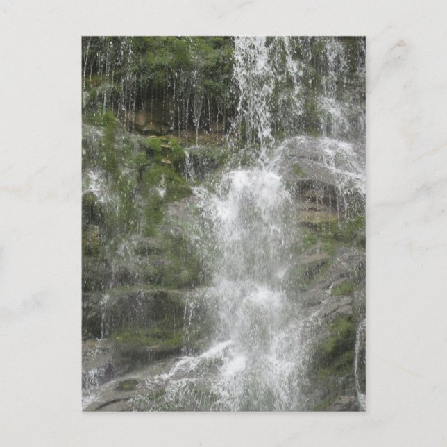 Cartão Postal La Chute Waterfall no Parque Nacional de Forillon (Frente)