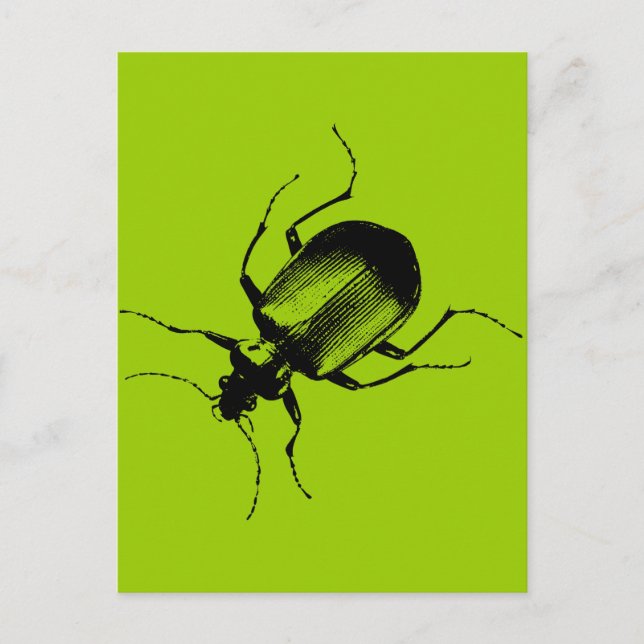Cartão Postal La Cucaracha (Frente)