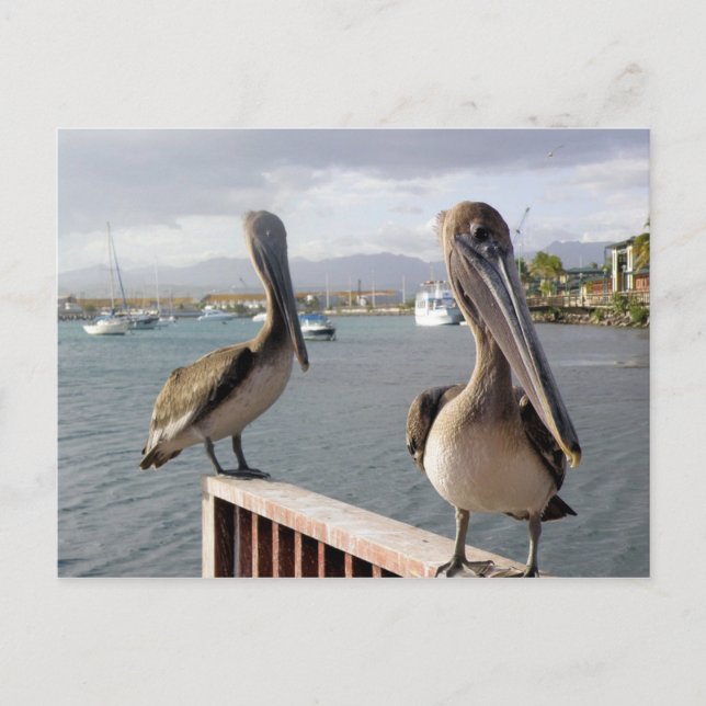 Cartão Postal La Guancha en Ponce (Frente)