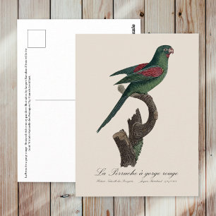 Cartão Postal La Perruche, um desfiladeiro