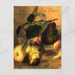 Cartão Postal La Poire nº 1