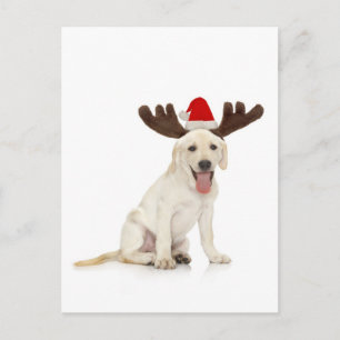 Cartão Postal Lab Puppy Vestindo Antlers
