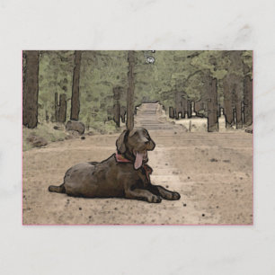 Cartão Postal Laboratório De Chocolate Cortado Em Caminho De Flo